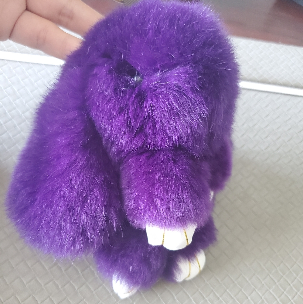 Hidden Bunny